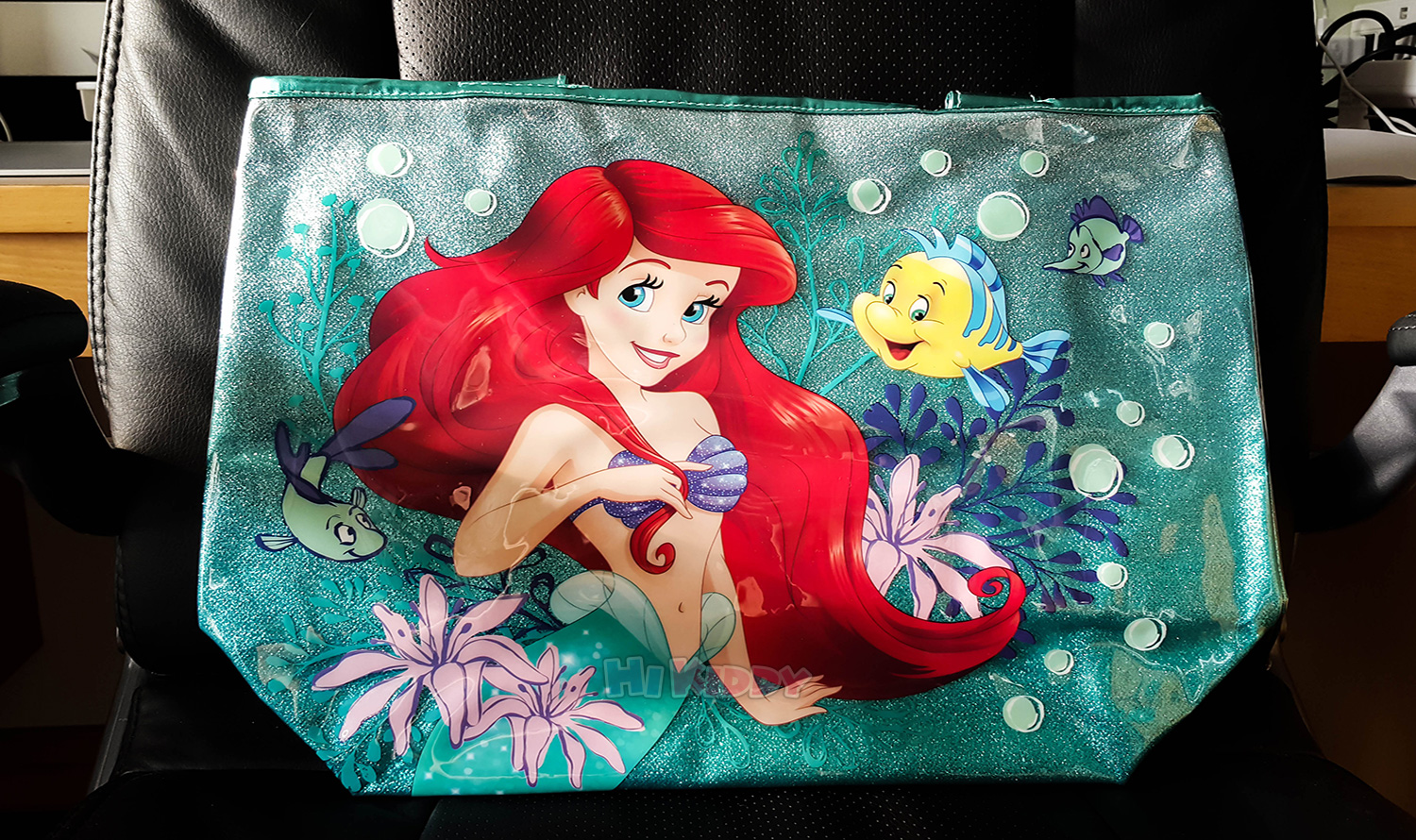 Ariel 2025 swim bag